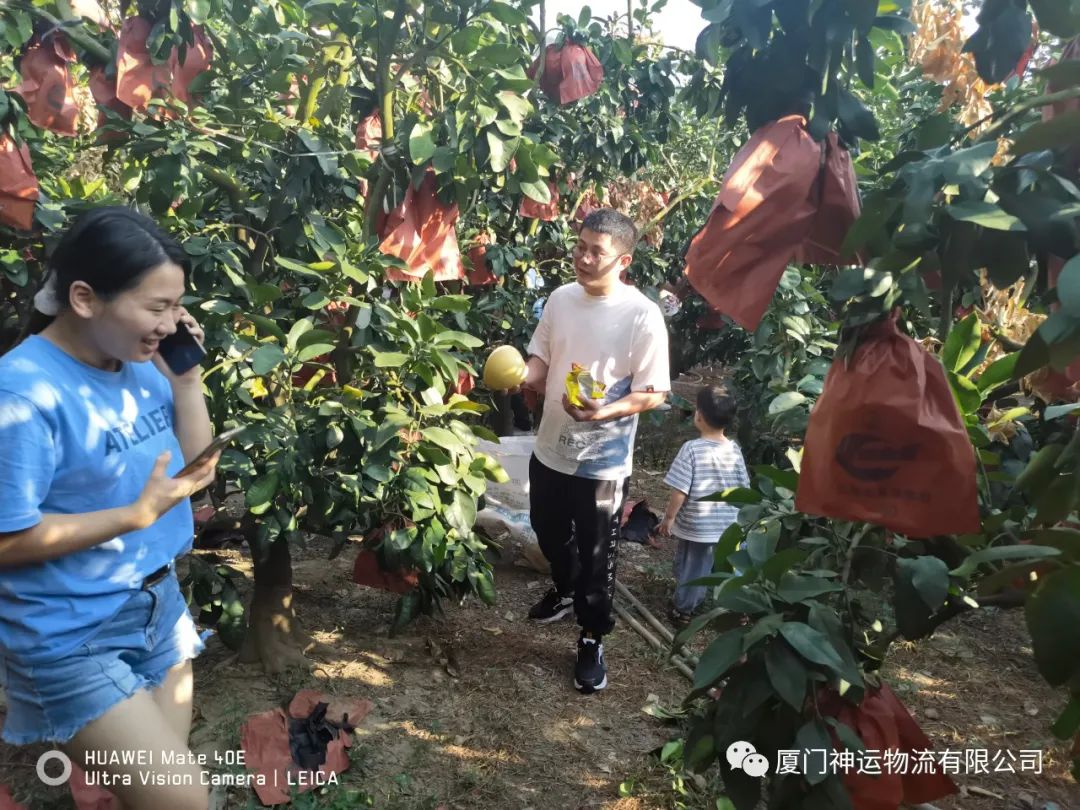 &#21315;&#20159;&#23448;&#32593;&#45;&#21315;&#20159;&#40;&#20013;&#22269;&#41;&#19968;&#31449;&#24335;&#26381;&#21153;&#23448;&#32593;